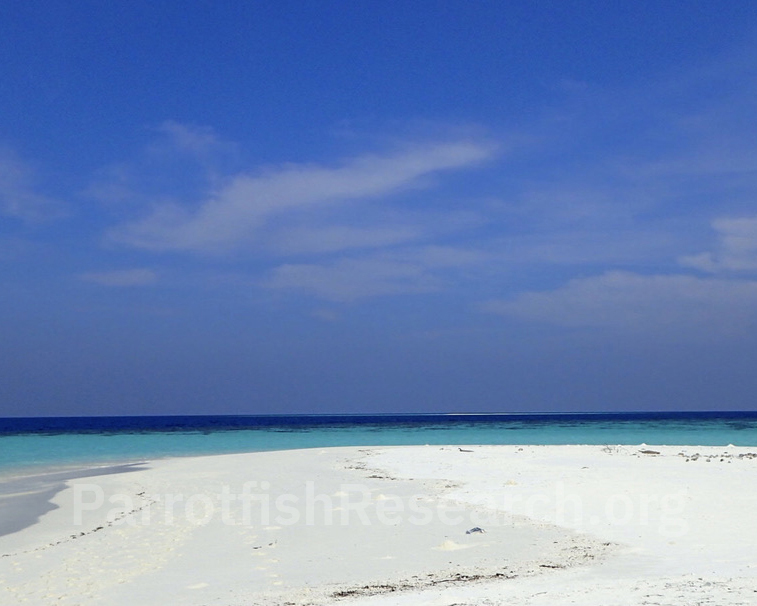 A sandbank in the tropical pacific ocean